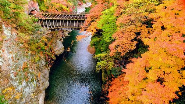 紅葉の橋 紅葉の橋 紅葉,もみじ,秋の写真素材