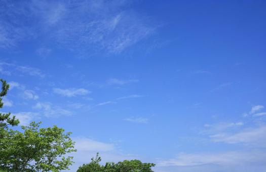 新緑と青空 新緑と青空 青空,空,新緑の写真素材