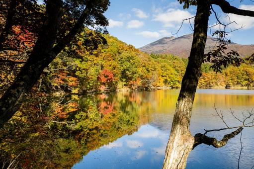 秋の長老湖⑹ 秋,紅葉,長老湖の写真素材