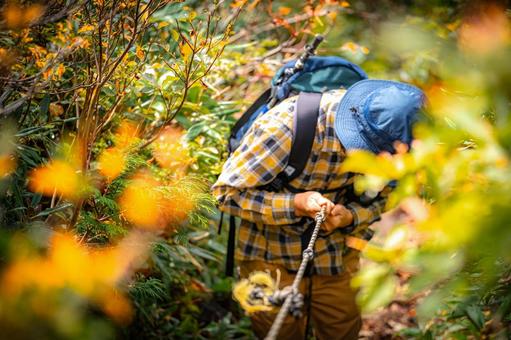 高齢ハイカー　高齢登山 登山者,ハイカー,高齢者の写真素材