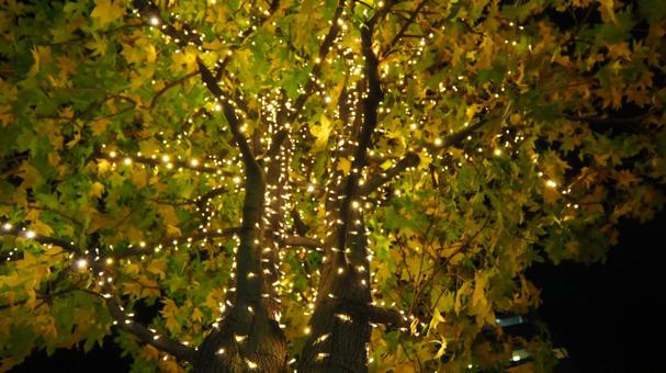 高崎駅周辺のクリスマスイルミ（高崎市） クリスマス,イルミネーション,冬の写真素材