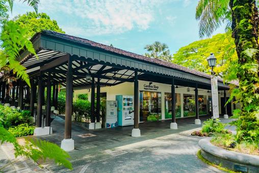 【シンガポール】植物園オーキッドガーデン オーキッドガーデン,ナショナル,国立の写真素材