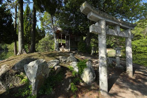 Photo, shuhin shrine, a shrine, sunny, 
