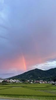 虹が出た夕暮れの写真