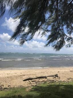 海との時間 海との時間の写真