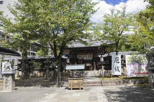 名古屋東照宮 名古屋東照宮,神社,名古屋市の写真素材