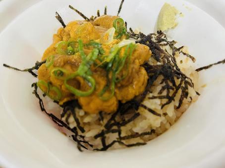 うに丼 うに丼 うに,ウニ,雲丹の写真素材