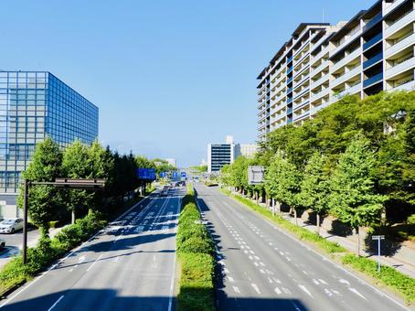 つくば市の茨城県道237号花室牛久線7 つくば市の茨城県道237号花室牛久線7 土浦学園線,つくば市,筑波研究学園都市の写真素材