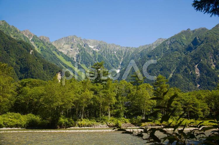 避暑の上高地　梓川から望む穂高連峰 信州,深緑,森の写真素材