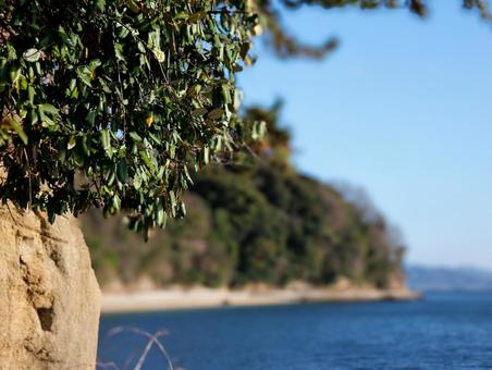海岸 海岸の写真