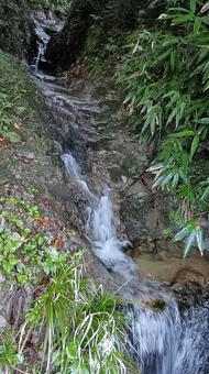 枝折峠途中にある小さな滝と小川 滝,小川,風景の写真素材