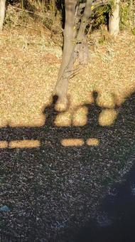 影 影,２人,影絵の写真素材