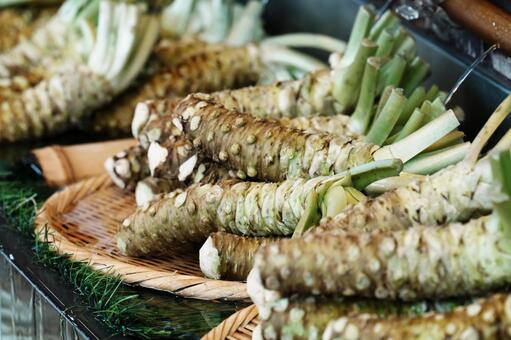 本わさびの息吹 わさび,香辛料,食材の写真素材