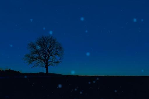 雪の降り始めた一本木の丘 雪の降り始めた一本木の丘 雪,木,丘の写真素材