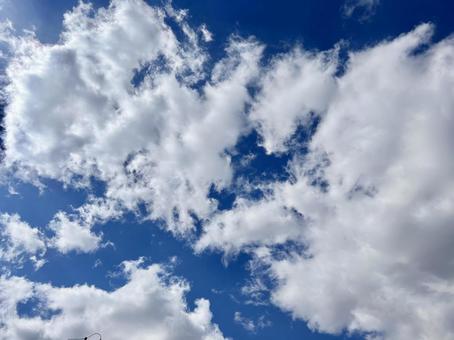 青空 青空の写真