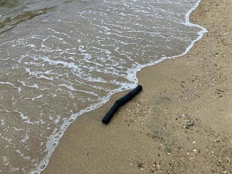 波打ち際に流れ着いた木 砂浜,波打ち際,海の写真素材