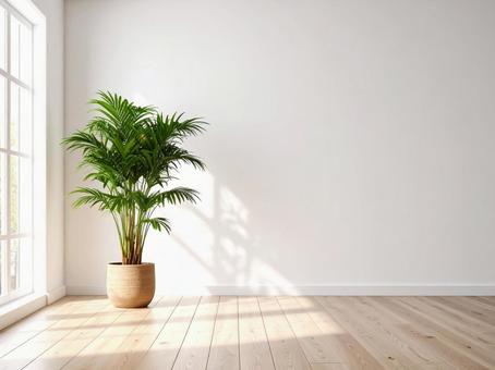 観葉植物の写真