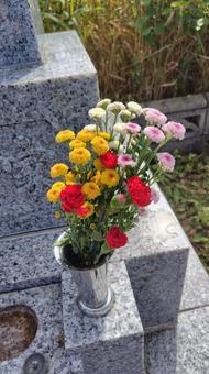 お墓の花 お墓の花 お墓,仏花,墓参りの写真素材