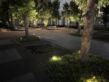 夜の公園 夜の公園の写真