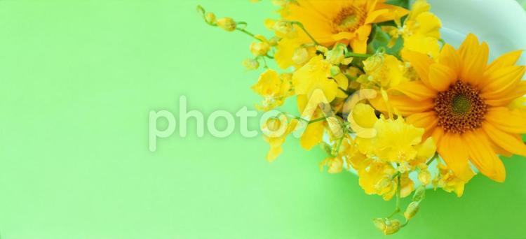 イエローカラーの2種花束イメージ素材 花,黄色,ひまわりの写真素材