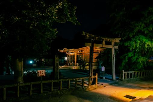 【島根】松江神社の夜景の写真
