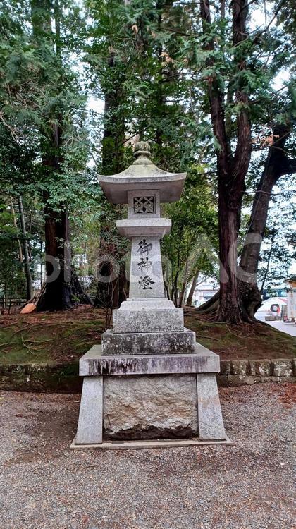 鹿島神宮の御神燈 鹿島神宮,御神燈,神社の写真素材