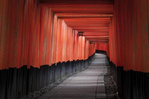 京都伏見稲荷大社の千本鳥居 伏見稲荷,千本鳥居,伏見稲荷大社の写真素材