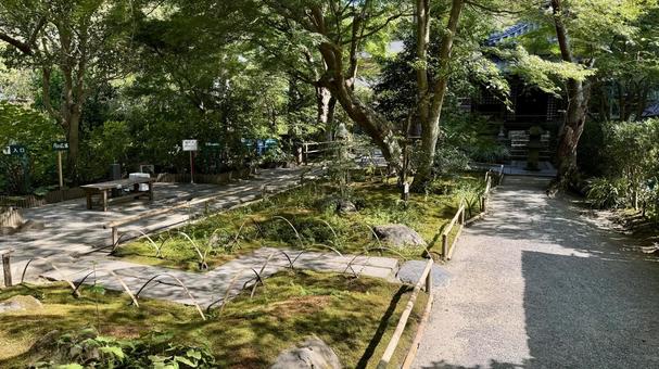 庭 庭の写真