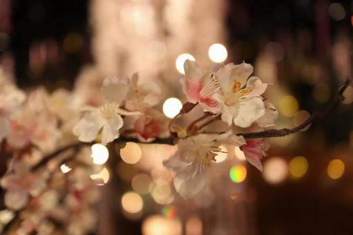 光の中でも輝く桜 光の中でも輝く桜の写真
