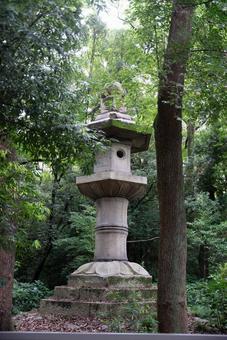苔むす石灯籠と新緑の森 石灯籠,灯籠,自然の写真素材
