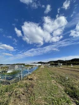 田舎の午後の写真