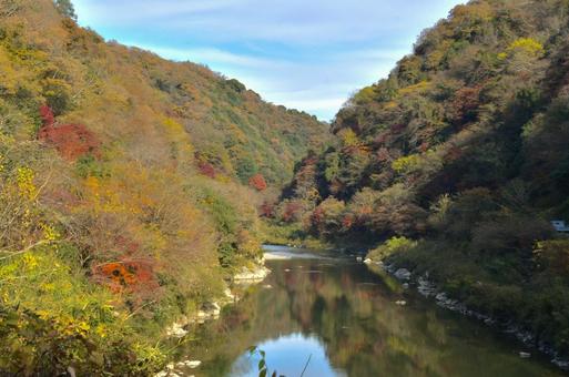 色づく山の写真