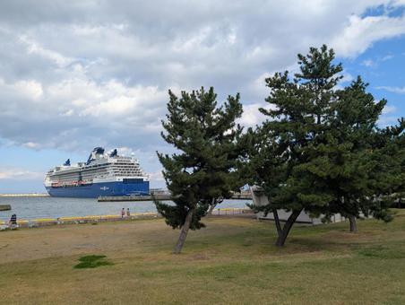 松とクルーズ船 青空,雲,海の写真素材