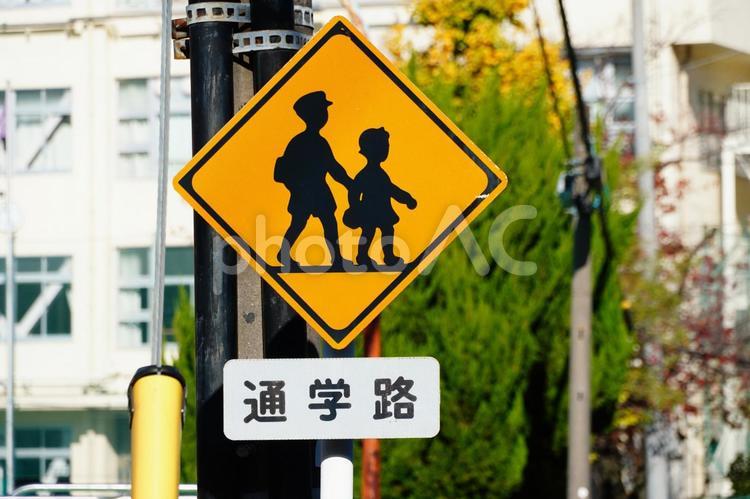 通学路　道路標識 通学路,標識,看板の写真素材