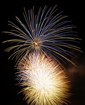 夏の花火 夏の花火の写真