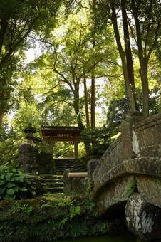 Scenery of the stone steps and mountain gate of Jochiji Temple in Kita-Kamakura, mountain gate, stone steps, cool, JPG