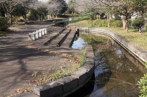 秋の公園 秋の公園の写真