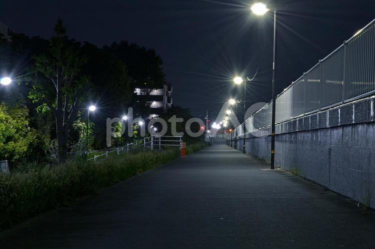 夜道　堤防のコンクリート壁と歩道と外灯 夜道,堤防,コンクリートの写真素材