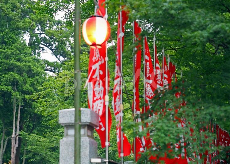 神社に旗めく幟旗 幟旗,お参り,お囃子の写真素材