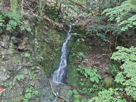 小さな滝見つけたの写真