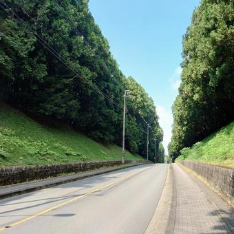 道路と空 道路と空 道路,樹木,アスファルトの写真素材