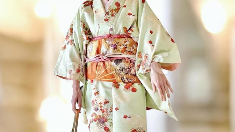 光の中を着物を着て歩く女性_ワイド 女性,人物,着物の写真素材