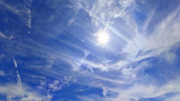 青のキャンバス-81 青のキャンバス-81の写真