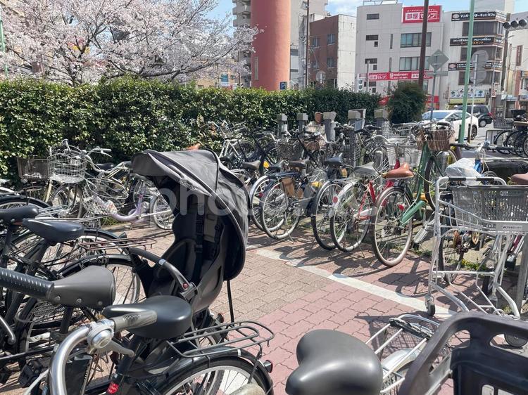 日本の自転車置き場 日本,自転車,自転車置き場の写真素材