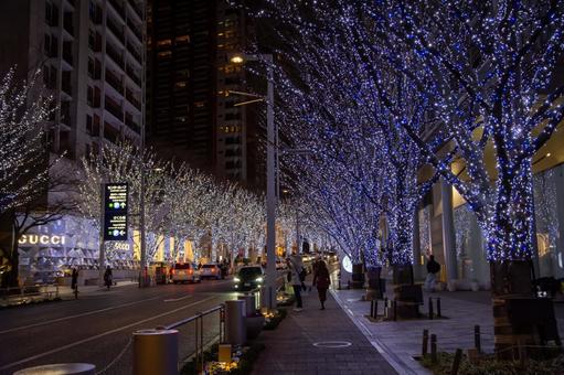 冬の六本木けやき坂 冬の六本木けやき坂 六本木,クリスマス,イルミネーションの写真素材