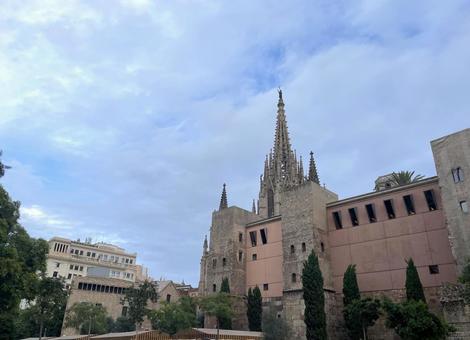 旧市街とサンタ・エウラリア大聖堂 旧市街とサンタ・エウラリア大聖堂 バルセロナ,スペイン,サンタ・エウラリア大聖堂の写真素材