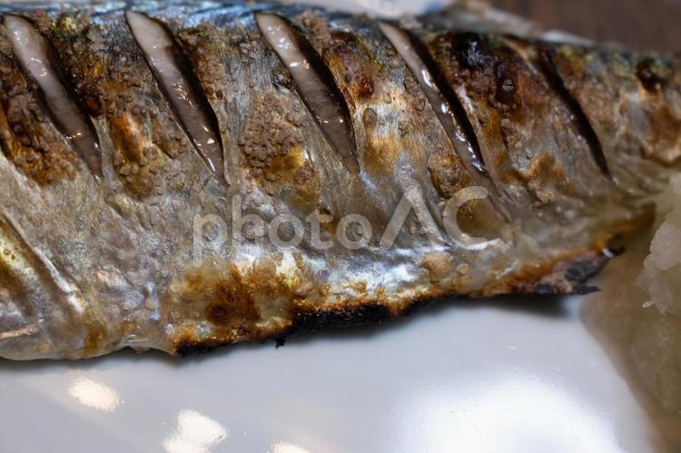 サバの塩焼きの皮の部分 食材,生鮮,食品の写真素材