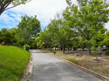A promenade in a green summer park, JPG A promenade in a green summer park, JPG