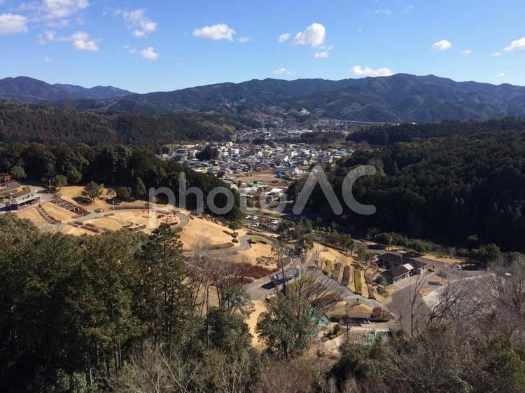 富士の樹海 静岡,富士,樹海の写真素材
