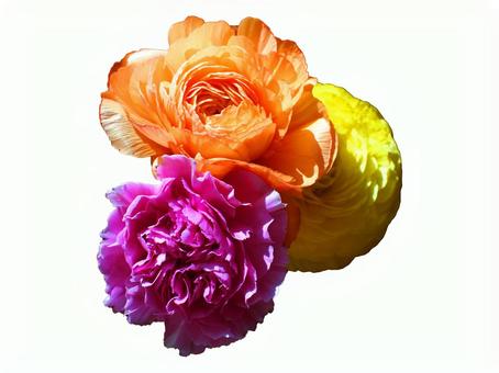 3つのお花 3つのお花の写真